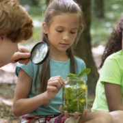 children-exploring-together-nature