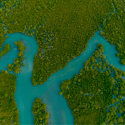 Progetto senza titolo (11)